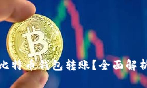 如何安全高效地进行比特币钱包转账？全面解析操作技巧和注意事项