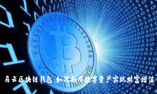 马云区块链钱包：如何利用数字资产实现财富增值