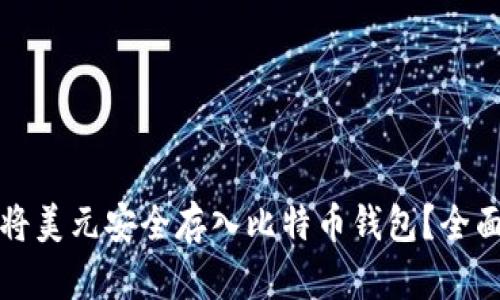 如何将美元安全存入比特币钱包？全面指南