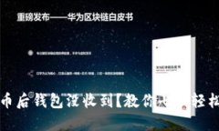 提现虚拟币后钱包没收到