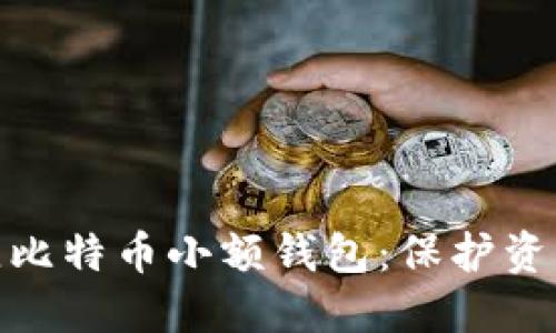 如何选择最佳比特币小额钱包：保护资产的智慧之选