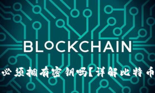 比特币钱包交易必须拥有密钥吗？详解比特币钱包的安全策略