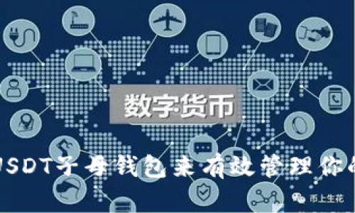 如何使用USDT子母钱包来有效管理你的数字资产