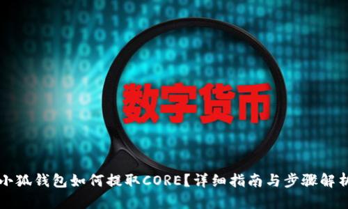 小狐钱包如何提取CORE？详细指南与步骤解析