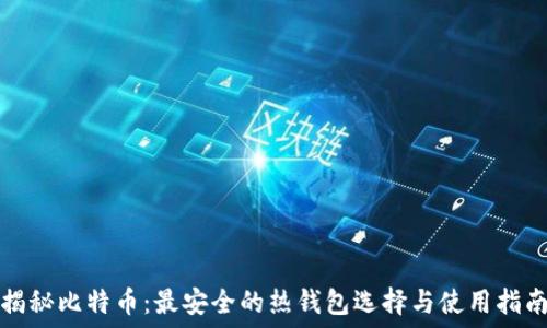   
揭秘比特币：最安全的热钱包选择与使用指南