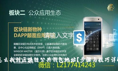 怎么找到区块链公共钱包地址？步骤与技巧详解