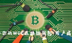 如何选择适合你的WDC区块链钱包：用户痛点与解