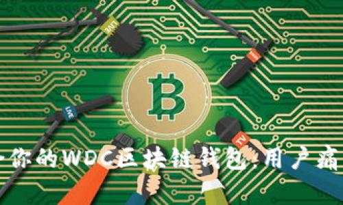 如何选择适合你的WDC区块链钱包：用户痛点与解决方案