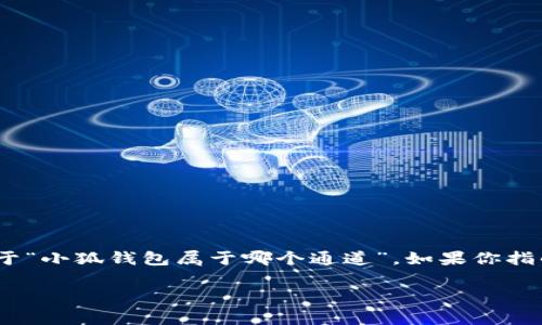 小狐钱包是一种数字钱包，通常与区块链技术相关联。它可以用于存储、管理和交易加密货币。至于“小狐钱包属于哪个通道”，如果你指的是进口或者出口渠道，那么需要具体了解它所涉及的数字货币交易所、支付平台或区块链网络。

如果有更具体的信息或上下文，可以帮助我提供更详细的答案！