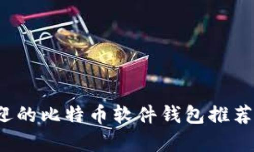 2023年最受欢迎的比特币软件钱包推荐及其优缺点分析