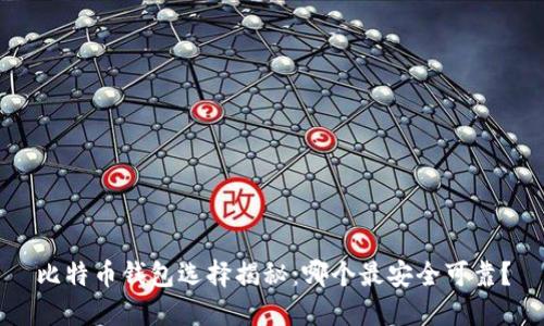 比特币钱包选择揭秘：哪个最安全可靠？
