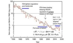 小狐钱包的余额查看指南