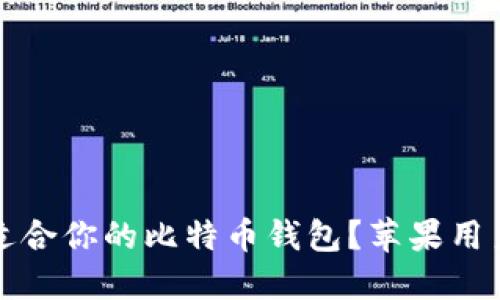 如何选择适合你的比特币钱包？苹果用户必看指南