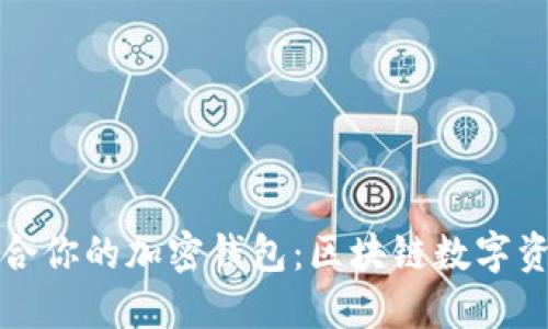 如何选择适合你的加密钱包：区块链数字资产安全指南