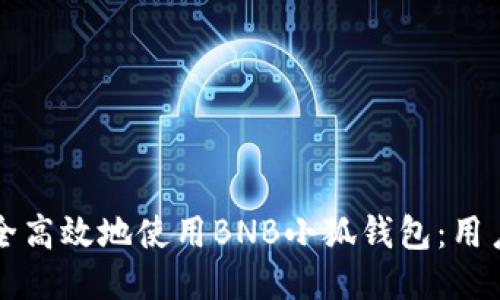 如何安全高效地使用BNB小狐钱包：用户全指南