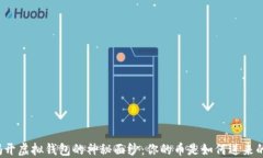 揭开虚拟钱包的神秘面纱