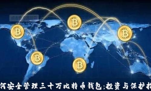 
如何安全管理三十万比特币钱包：投资与保护指南