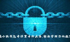 如何在小狐钱包中设置币