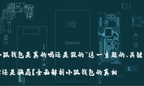 以下是围绕“小狐钱包是真的吗还是假的”这一主题的、关键词和内容大纲。

小狐钱包：真实还是骗局？全面解析小狐钱包的真相