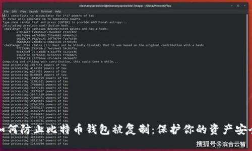 如何防止比特币钱包被复制：保护你的资产安全