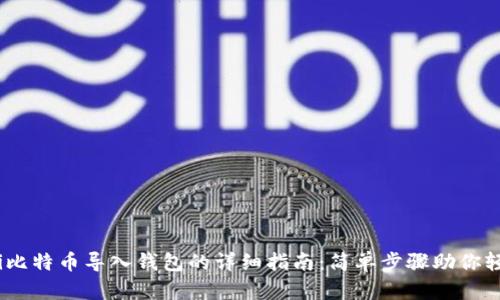 bianoti比特币导入钱包的详细指南：简单步骤助你轻松操作