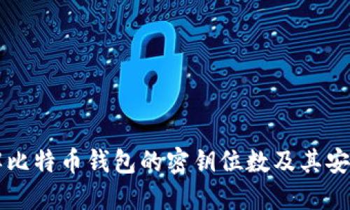 了解比特币钱包的密钥位数及其安全性