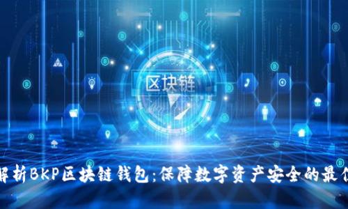 全面解析BKP区块链钱包：保障数字资产安全的最佳选择