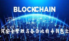 如何安全管理与备份比特