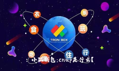 : 小狐钱包：cnup是什么？