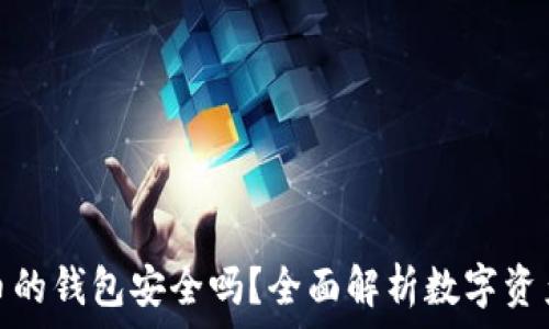   
放虚拟币的钱包安全吗？全面解析数字资产安全性