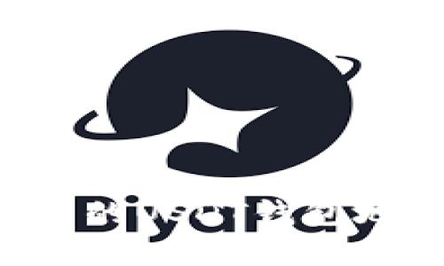 如何拥有自己的USDT钱包地址：全面指南