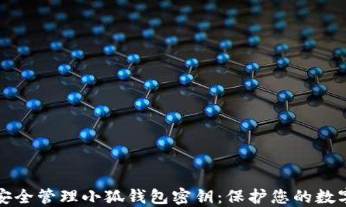 
如何安全管理小狐钱包密钥：保护您的数字资产