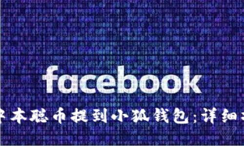 如何将中本聪币提到小狐钱包：详细操作指南