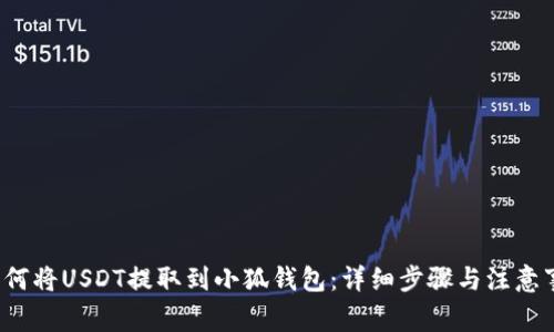  如何将USDT提取到小狐钱包：详细步骤与注意事项