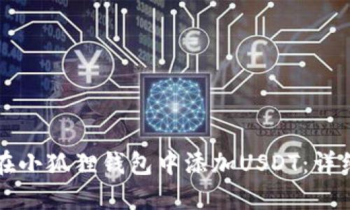 如何在小狐狸钱包中添加USDT：详细指南