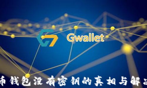 
比特币钱包没有密钥的真相与解决方案