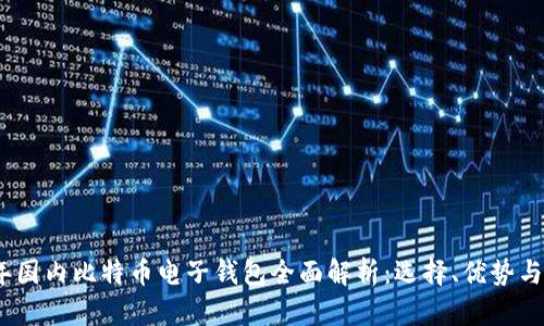 2023年国内比特币电子钱包全面解析：选择、优势与安全性