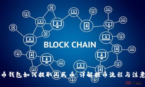 比特币钱包如何提取人民币：详解提币流程与注意事项