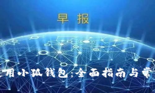 如何安全使用小狐钱包：全面指南与常见问题解答