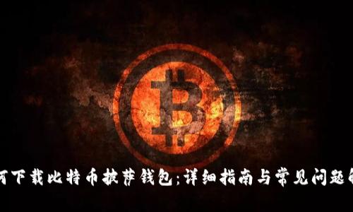如何下载比特币披萨钱包：详细指南与常见问题解答