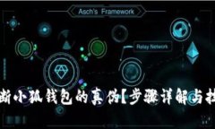 如何判断小狐钱包的真伪？步骤详解与技巧分享