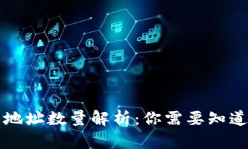 比特币钱包地址数量解析：你需要知道的所有信息