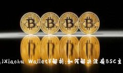 小狐钱包（Xiaohu Wallet）解析：如何解决没有BSC主