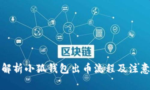 全面解析小狐钱包出币流程及注意事项