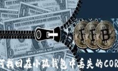 如何找回在小狐钱包中丢