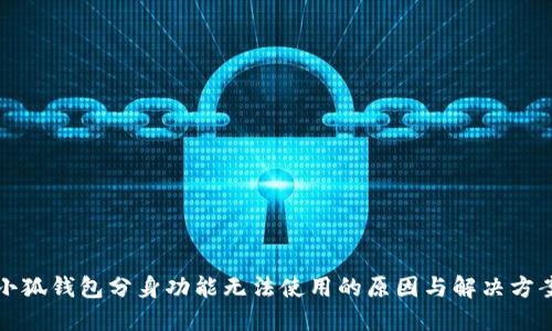 小狐钱包分身功能无法使用的原因与解决方案