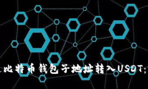 如何通过比特币钱包子地址转入USDT：完全指南