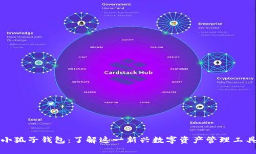 小狐子钱包：了解这一新兴数字资产管理工具