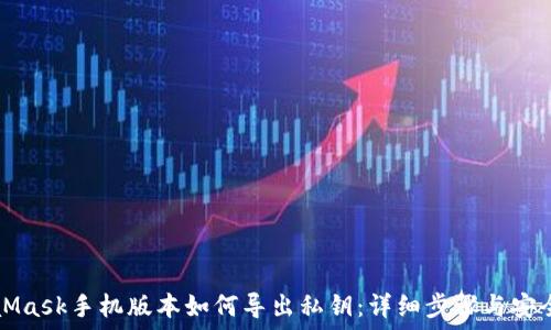   
MetaMask手机版本如何导出私钥：详细步骤与安全提示