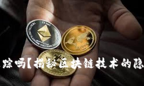 区块链能追踪吗？揭秘区块链技术的隐私与透明性